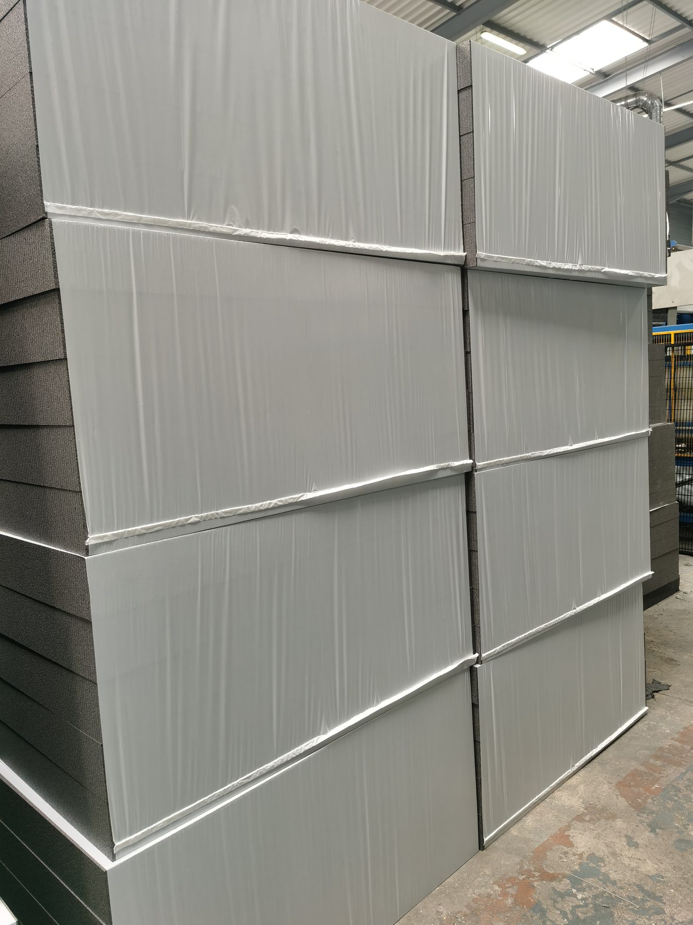 EPS Packaging Machine